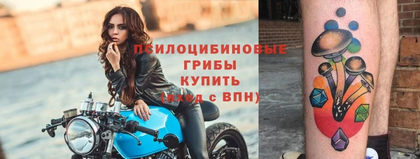 Альфа ПВП Алзамай