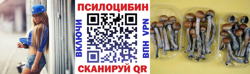 где купить наркотик Пущино Псилоцибиновые грибы GOLDEN TEACHER