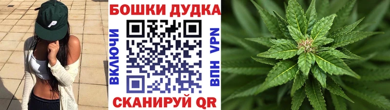 Бошки Шишки гибрид Пущино